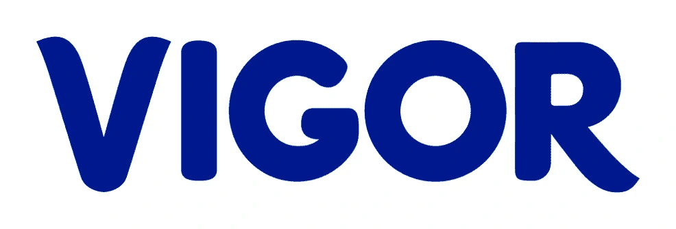 Logo Vigor